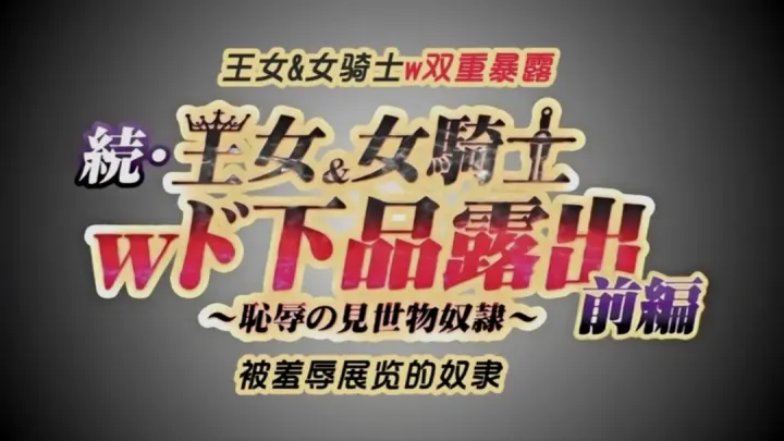 第一集长期持续的超级大国之间的战争以德米纳斯帝国的胜利而告终。引导爱尔斯塔王国走向灭