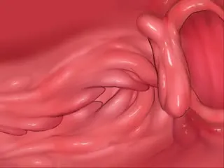 3D动漫，很有感觉的哦