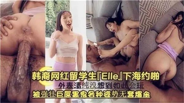 韩国美女留学生下海被壮硕黑佬巨屌无套多体位爆插