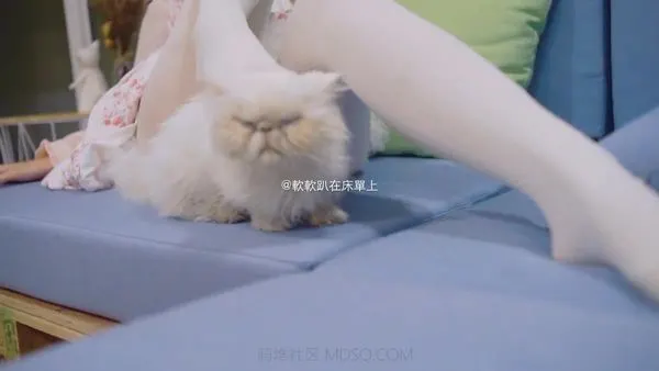 铃木美咲（软软趴在床单上)-猫咖自拍