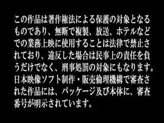 [SHIC-133]発育途中の微乳娘とSEXパート212人4時間第13集
