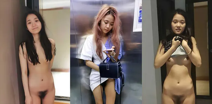 辽宁骚货【刘钰娜】陌陌约炮视频曝光，妥妥小M爱户外露出3P狂欢，酒店被无套爆操到浪叫求饶