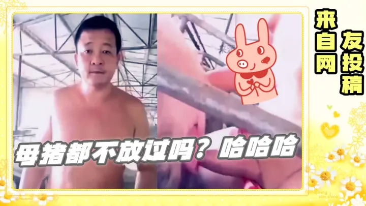 网友投稿 母猪都不放过吗？哈哈哈