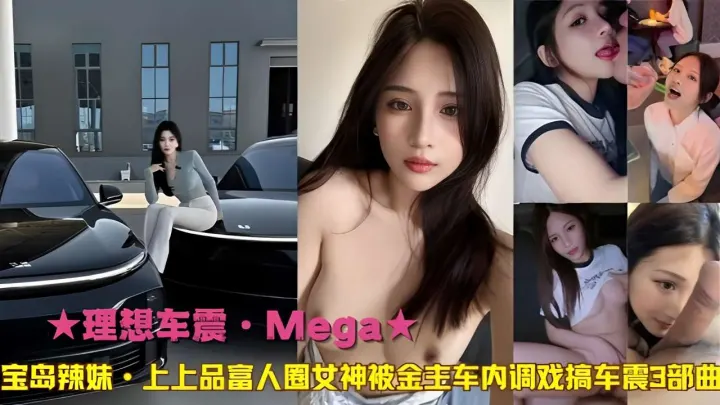 理想车震·Mega宝岛辣妹·上上品富人圈女神被金专车内调戏搞车震3部曲