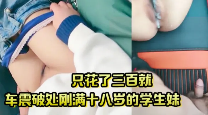 只花了三百就车震破处刚满十八岁的学生妹