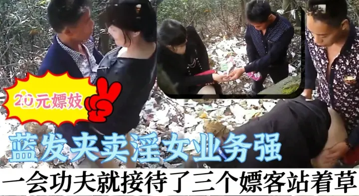 20元嫖娼蓝发夹卖淫女业务强