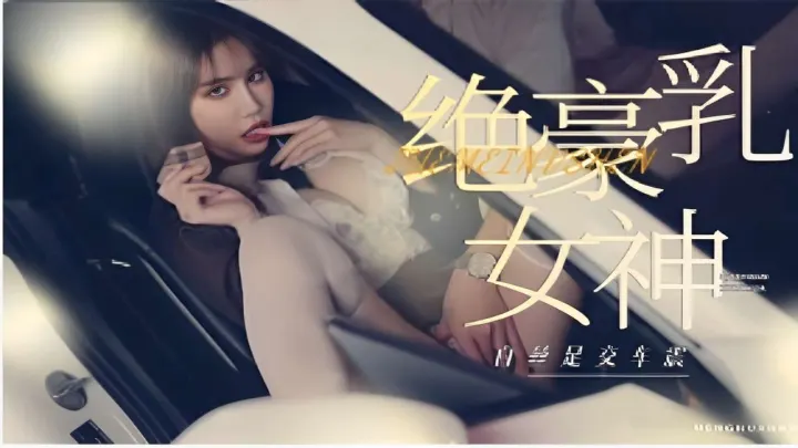 丰臀豪乳网红女神与榜一大哥玩车震