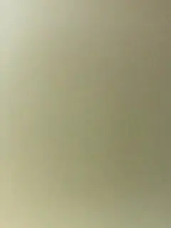 【国产自拍】学妹和听话的男友开房自拍先让用嘴舔逼伺候