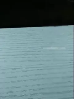 三p真会玩