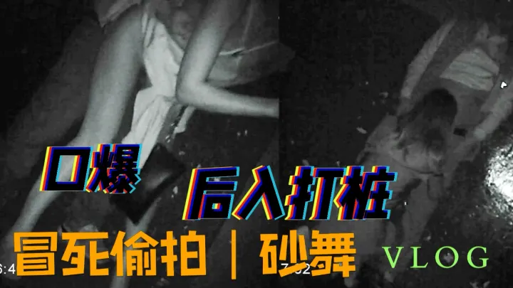 口爆后入打桩