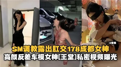 成都女神车模反差调教！SM肛交露出狂干内射