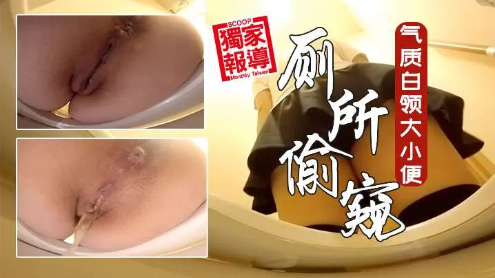 牛逼厕所偷窥公共女坐便坑内镜头多位气质白领大小便.