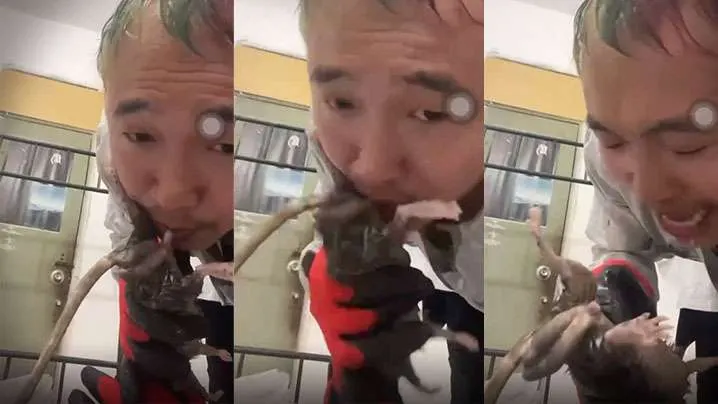劲爆给老鼠口交什么奇葩性趣.