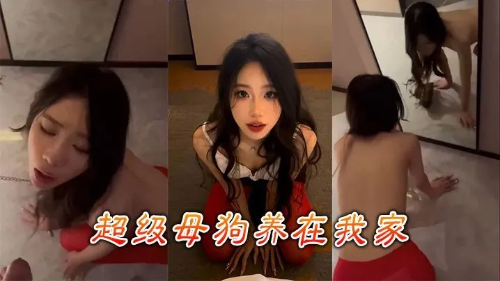 超级母狗养在我家