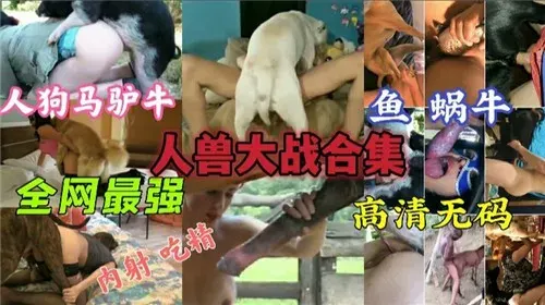 全网最强人兽大战合集