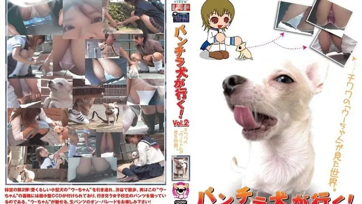PUROD-072 - 拳击狗要去冒险！第二卷即将到来，敬请期待