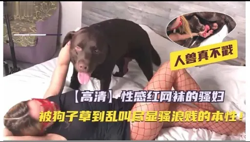 人兽真不戳【高清】性感红网袜的骚妇