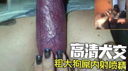 高清大交粗大狗屌内射喷精