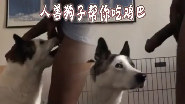 人兽狗子帮你吃鸡巴
