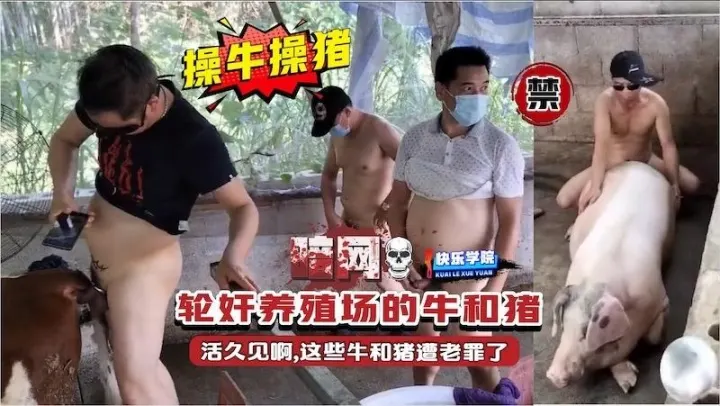 【暗网】操牛草猪，轮奸养殖场的牛和猪，活久见啊,这些牛和猪遭老罪了