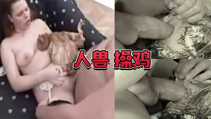 #人兽 操鸡 操鸡屁眼是什么感觉