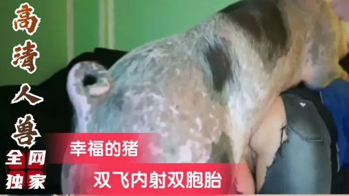 【人兽】幸福的猪，双飞内射双胞胎