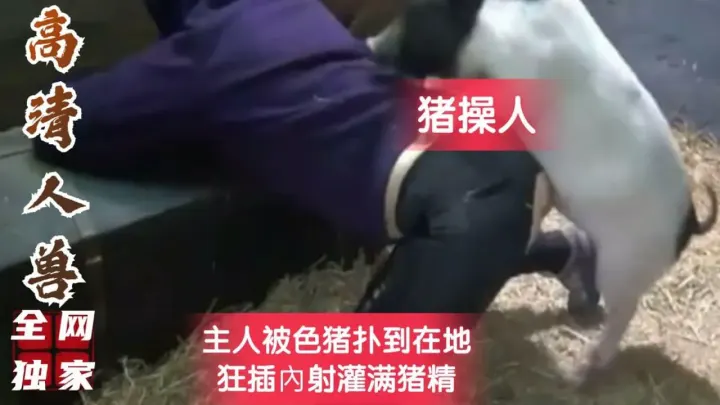 【人兽】猪操人，男子猪棚被猪上位内射