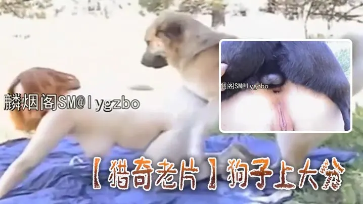 【猎奇老片】狗子上大分