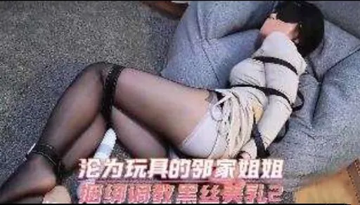 论为玩具的邻家姐姐