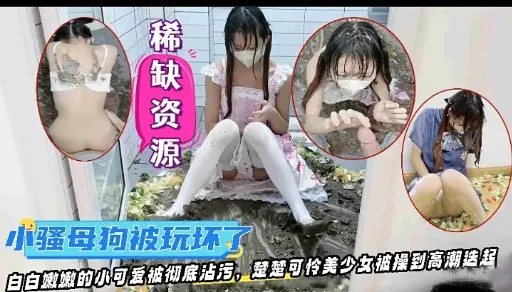 稀缺资源小骚母狗被玩坏了