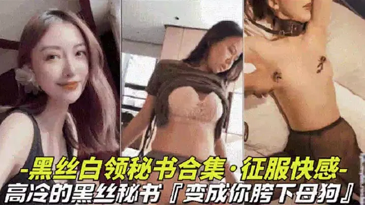 黑丝白领秘书大合集高冷黑丝秘书变成胯下母狗视觉上.的享受