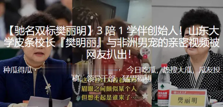山东.大学皮.条校长樊明.丽与非洲.男宠的.亲密.视频被.曝光